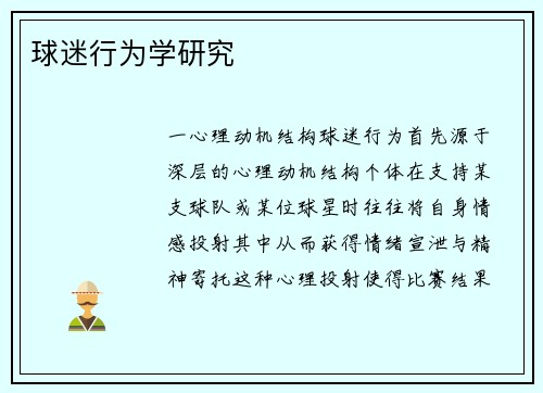 球迷行为学研究